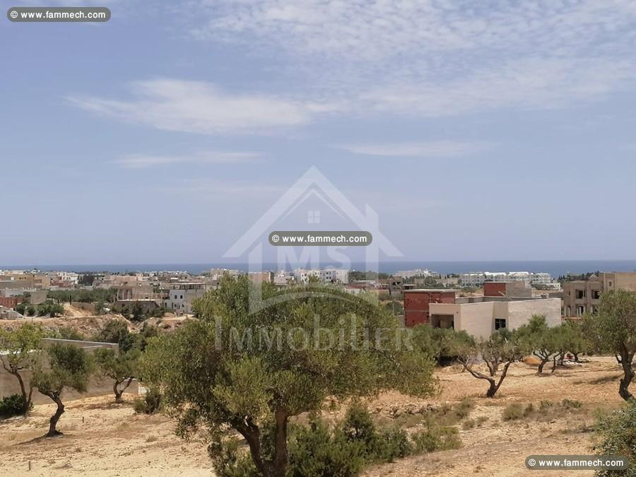Villa avec piscine à Jinen Hammamet à vendre 