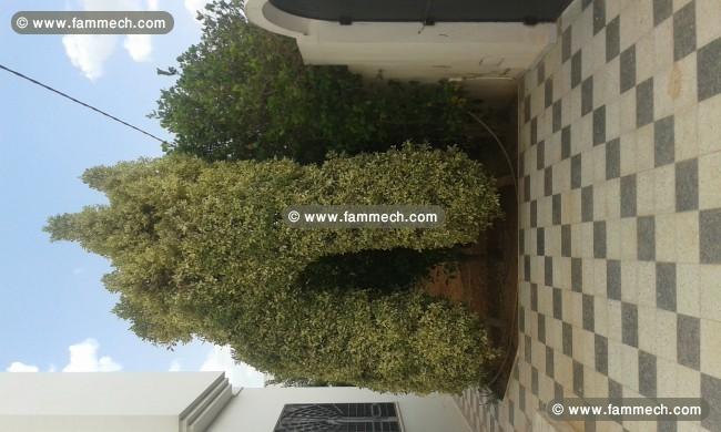 Villa de charme dans la zone prestigieuse Bouzayen