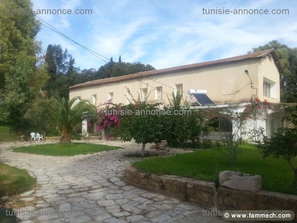 villa de luxe