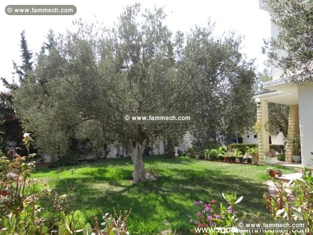 villa eline AV367 cité kharrouba hammamet 