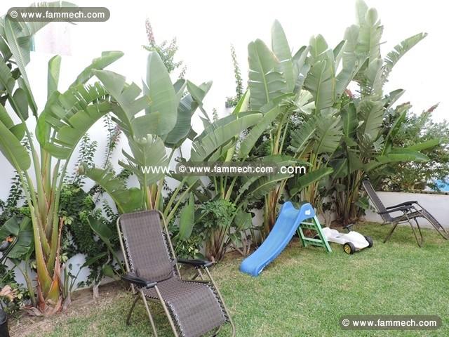 Villa Eya AV1126 Hammamet Mrezka 