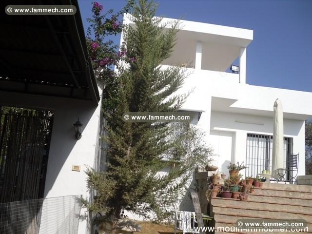 villa flower AL971 mrezka hammamet 