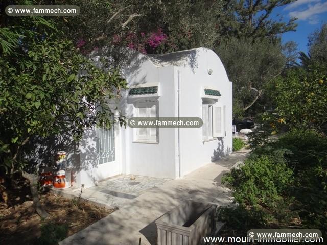 Villa Iris 2 AV393 Hammamet zone craxi