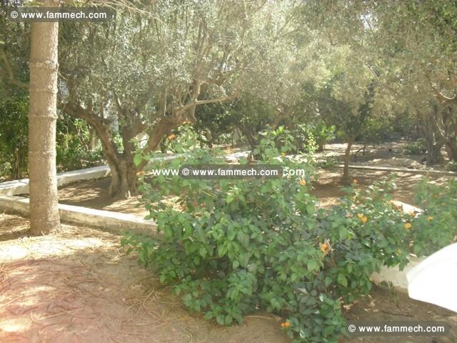 villa iris AL1023 zone craxi hammamet 