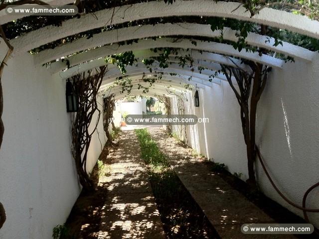 Villa les deux Lions AL242 Hammamet Nord 
