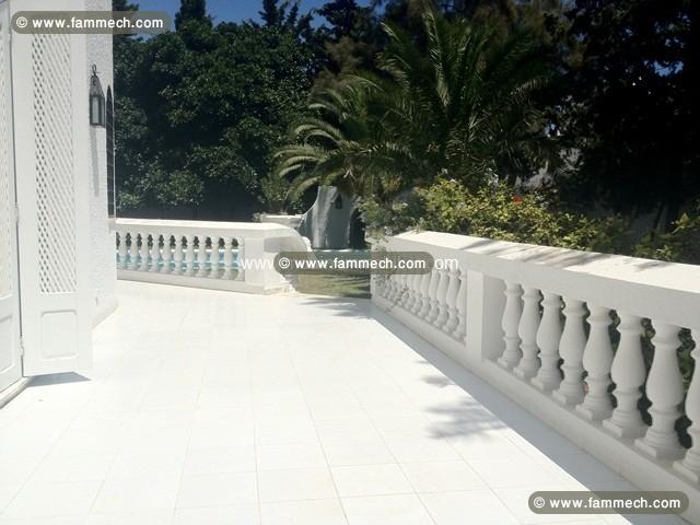 Villa les deux Lions AL242 Hammamet Nord 