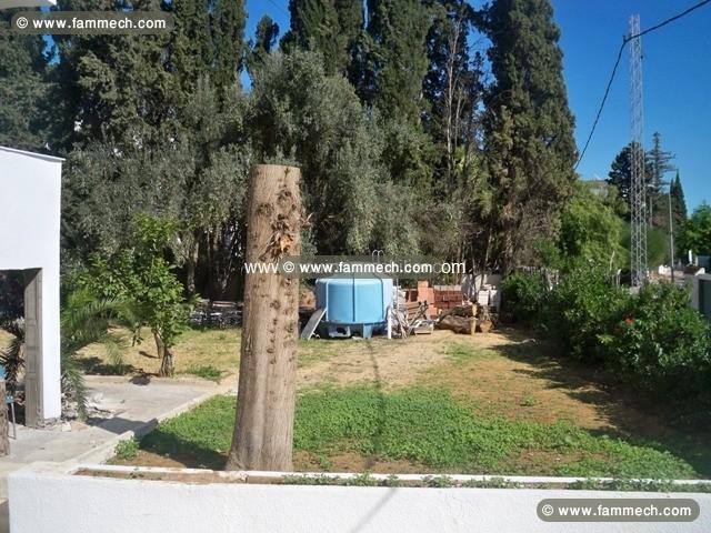 Villa L'oasis Vert AV885