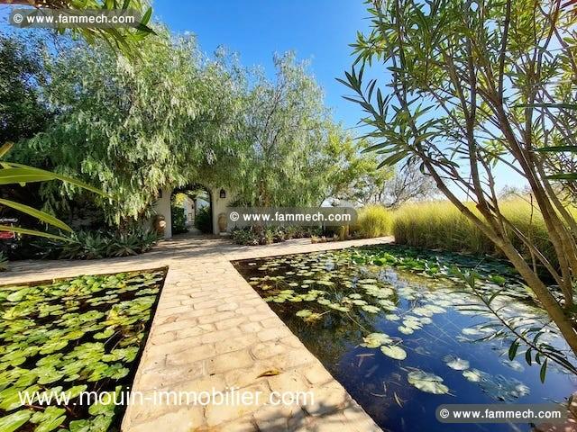 Villa Lotus AV1586 Hammamet 