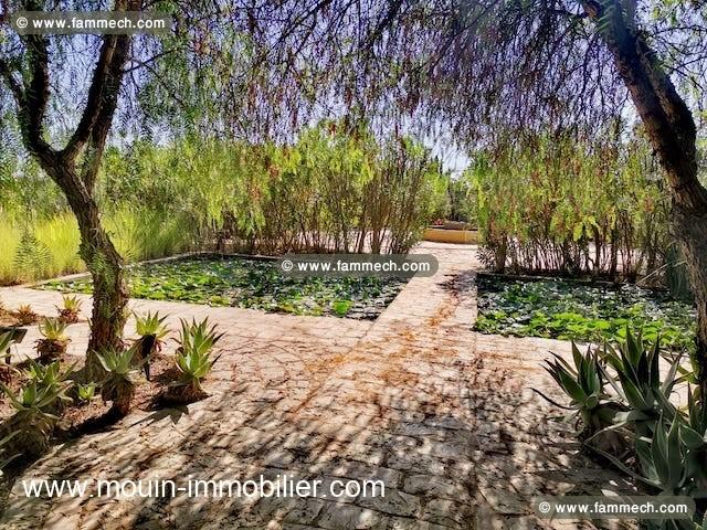 Villa Lotus AV1586 Hammamet