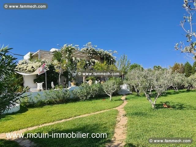 Villa Lotus AV1586 Hammamet