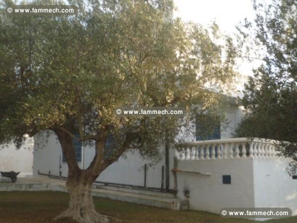 VILLA MONCEF
