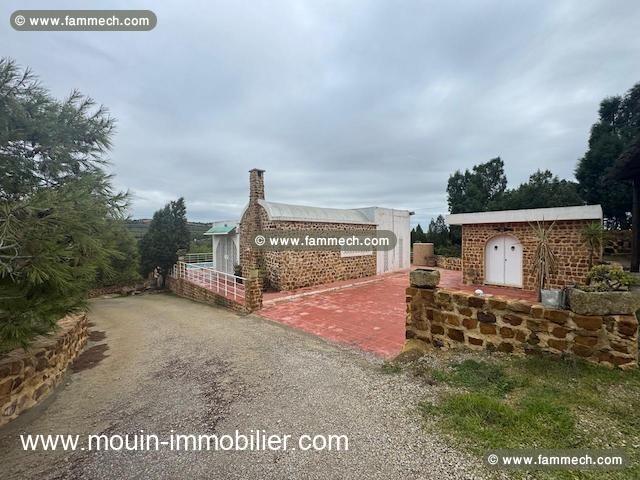 VILLA RENÉ Latrach Birbouregba Hammamet AL3685