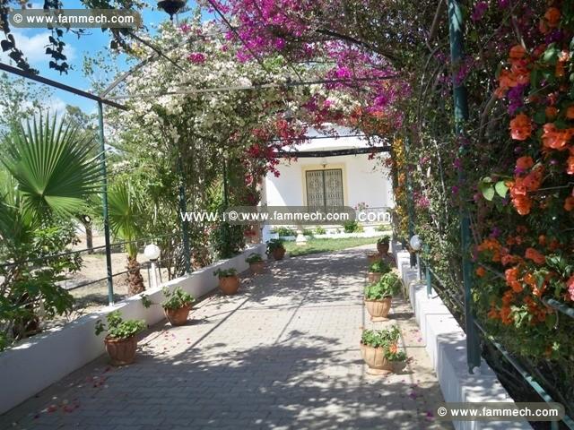 Villa Romana AL1326