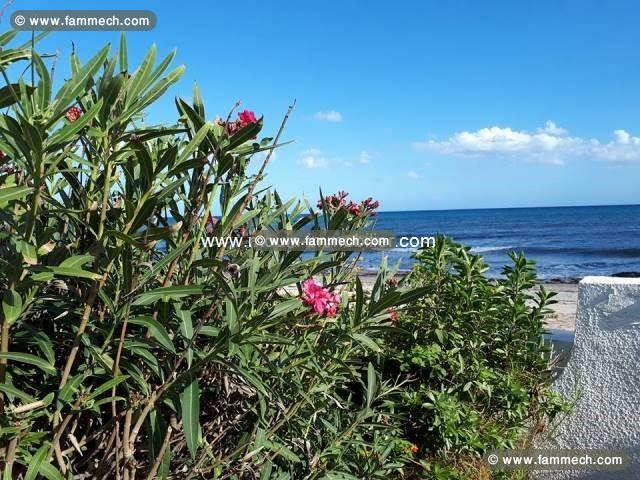 Villa Rosette AL2241