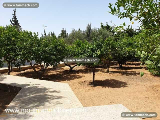 VILLA THE PEACE Hammamet Nord AL2430