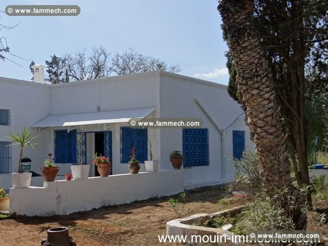 Villa Thym ref AL740 Yasmine Hammamet