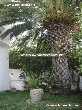 villa vede AL708 jinan hammamet 