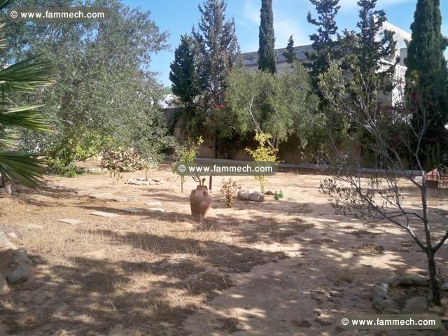 villa yakout AV855 hammamet nord 