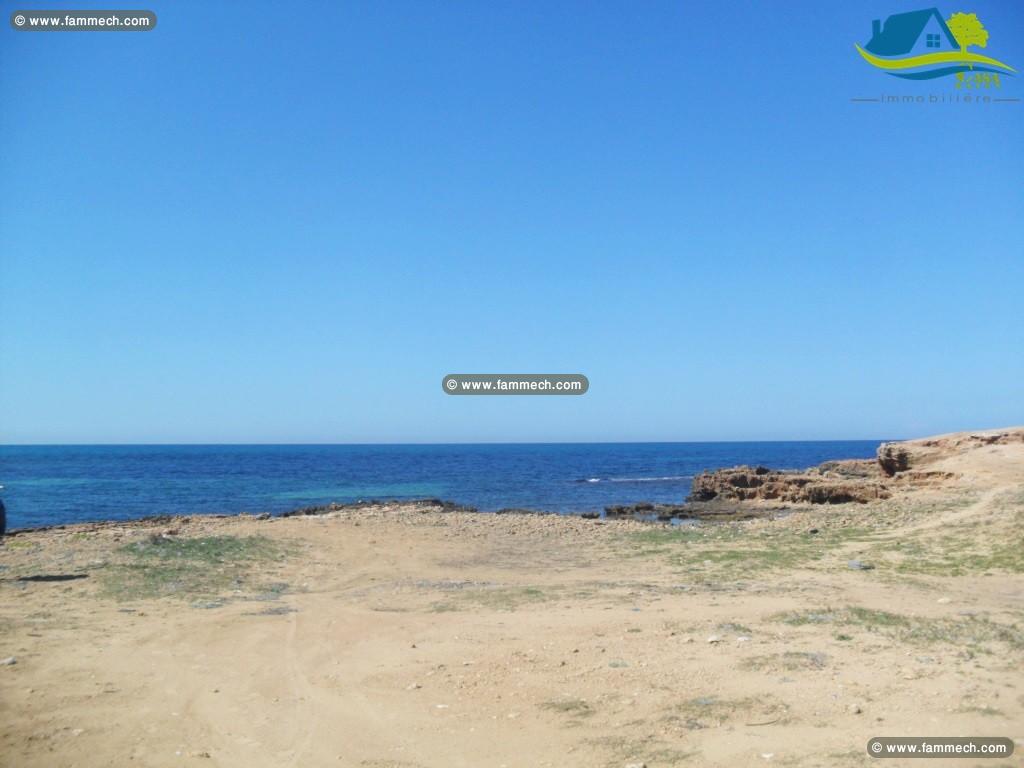 العرض محدود كلمنا ليوم قبل غدوة 23012582