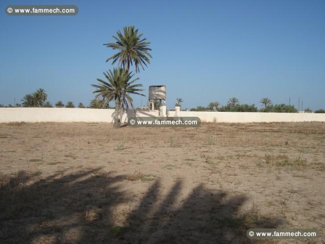 ضيعة بجربة مزراية ranch Djerba Mezraya