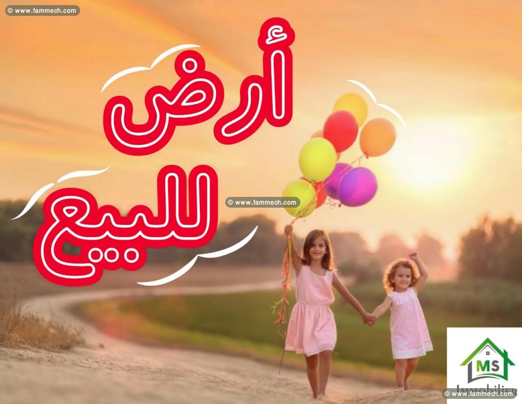 للبيع في قربة: أرض على البحر و على الطريق الرئيسي 