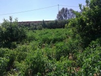  À vendre : Un terrain agricole exceptionnel