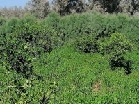  À vendre : Un terrain agricole exceptionnel