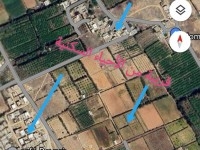  À vendre : Un terrain agricole exceptionnel