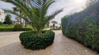  Appartement LA PLAGE 2 (Réf: V2941)