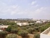   APPARTEMENT SOUAD 1 - Hammamet Sud 