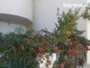  Apt 2 pcs RDC, HS, richement meublé 2 jardins
