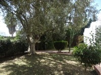  Demeure AZIZA (Réf: V1094)