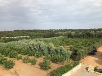  Ferme Beni Khiar (Réf: T838)