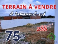  lot de terrain à vendre à Hammamet Sud 51355351