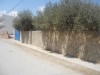 terrain a  	machikhet bni khiar