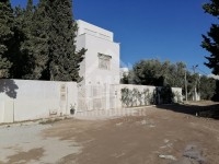  terrain à vendre à Hammamet Nord 51355351