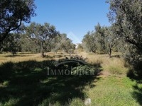  terrain à vendre à Hammamet Nord 51355351