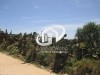  Terrain sidi messaoud mahdia.