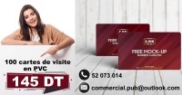 100 cartes de visite en PVC et plastique