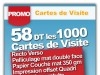 1000 carte de visite recto verso avec pelliculage 