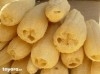 2000 luffa