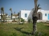 djerba,mezraya à louer une maison meublée