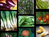 Vente des fruits, des légumes frais et bio masse