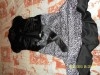 a ne pas rater : ensemble en satin