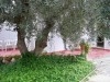 Villa La Mamma