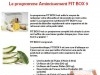 Programme minceur