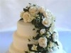 CREATION NAJLA