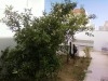 BELLE VILLA A DAR FADHAL