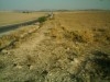 terrain agricole a el fahs