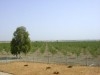 A vendre Une Grande Ferme de Rêve (8HA)